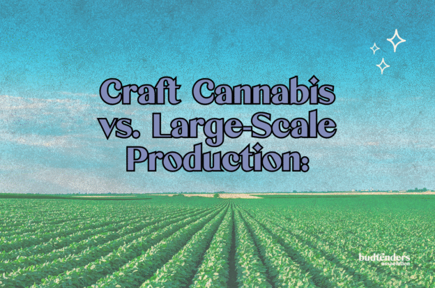 green field and blue sky with text over: Craft Cannabis vs. Large-Scale Production